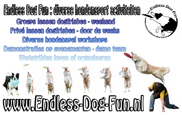 Endless Dog Fun